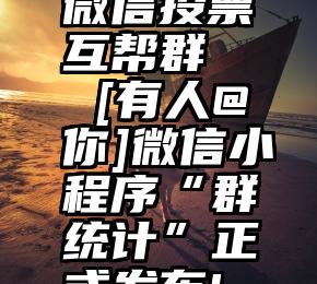 微信投票互帮群   [有人@你]微信小程序“群统计”正式发布!