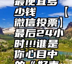 微信投票最便宜多少钱   【微信投票】最后24小时!!!谁是你心目中的“好声音”