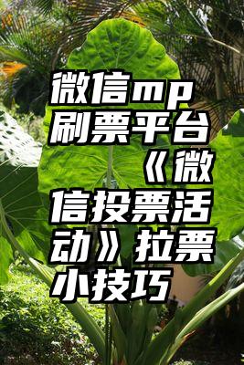 微信mp刷票平台   《微信投票活动》拉票小技巧