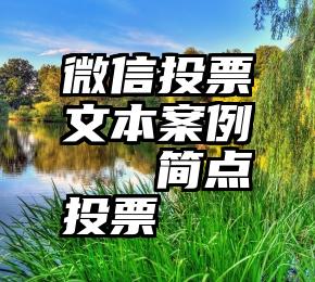 微信投票文本案例   简点投票