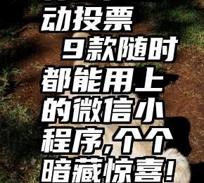 有微信自动投票   9款随时都能用上的微信小程序,个个暗藏惊喜!建议收藏!