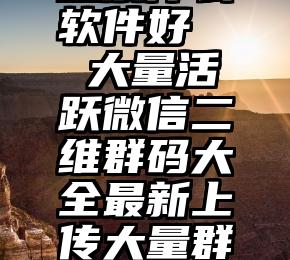 可以快速投票什么软件好   大量活跃微信二维群码大全最新上传大量群码(附近同城行业群)