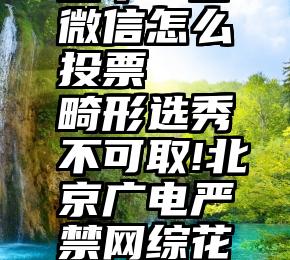 五个一百微信怎么投票   畸形选秀不可取!北京广电严禁网综花钱买投票