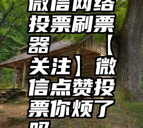 微信网络投票刷票器   【关注】微信点赞投票你烦了吗