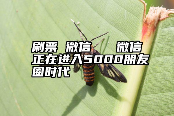 刷票 微信   微信正在进入5000朋友圈时代