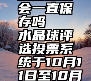 微信投票会一直保存吗   水晶球评选投票系统于10月11日至10月24日开放