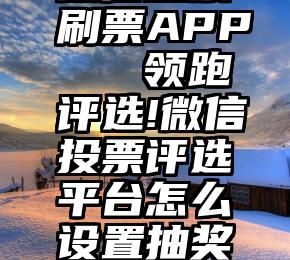 微信投票刷票APP   领跑评选!微信投票评选平台怎么设置抽奖功能