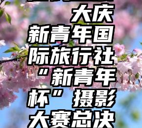 微信最美店长投票   大庆新青年国际旅行社“新青年杯”摄影大赛总决赛(第二期)开始啦!!