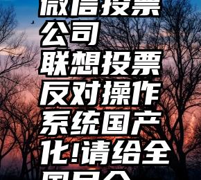 重庆网络微信投票公司   联想投票反对操作系统国产化!请给全国民众一个解释