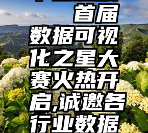 微信公众平台投票   首届数据可视化之星大赛火热开启,诚邀各行业数据精英一展身手!