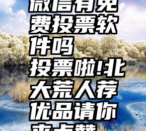 微信有免费投票软件吗   投票啦!北大荒人荐优品请你来点赞