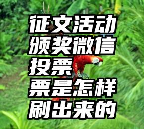 征文活动颁奖微信投票   票是怎样刷出来的