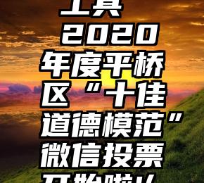 微信投票 工具   2020年度平桥区“十佳道德模范”微信投票开始啦!(二)