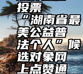 场外微信投票   “湖南省最美公益普法个人”候选对象网上点赞通道开启!