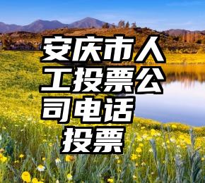 安庆市人工投票公司电话   投票