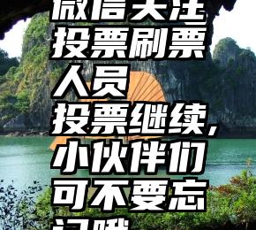 微信关注投票刷票人员   投票继续,小伙伴们可不要忘记哦~