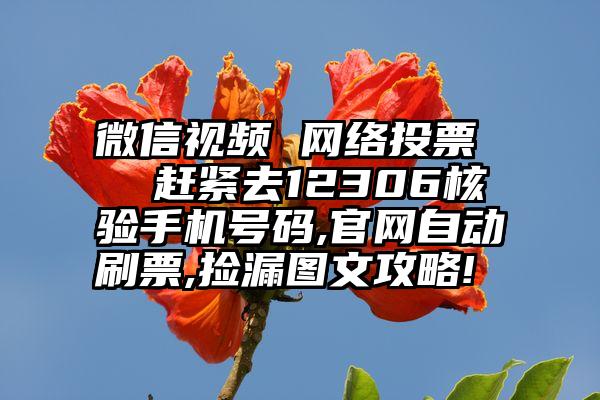 微信视频 网络投票   赶紧去12306核验手机号码,官网自动刷票,捡漏图文攻略!