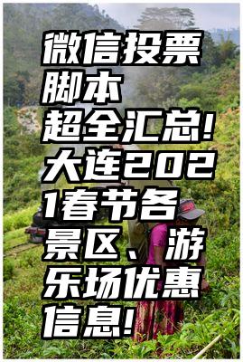 微信投票脚本   超全汇总!大连2021春节各景区、游乐场优惠信息!