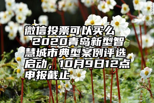 微信投票可以买么   2020青岛新型智慧城市典型案例评选启动，10月9日12点申报截止