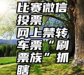 比赛微信投票   网上禁转车票“刷票族”抓瞎