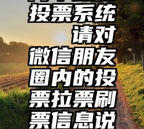 简单微信投票系统   请对微信朋友圈内的投票拉票刷票信息说不