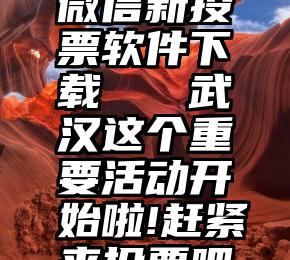 微信新投票软件下载   武汉这个重要活动开始啦!赶紧来投票吧