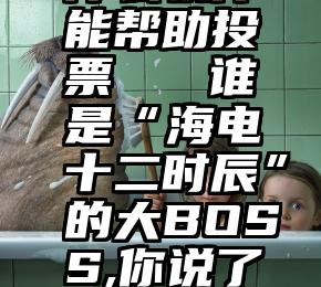 什么软件能帮助投票   谁是“海电十二时辰”的大BOSS,你说了算!