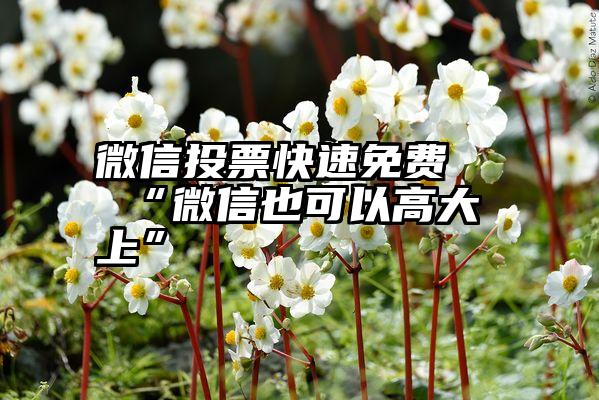 自然遗产旅游观光高峰论坛：促进历史文物天然资源列入旅游观光公交线路