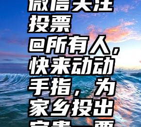 微信关注投票   @所有人，快来动动手指，为家乡投出宝贵一票