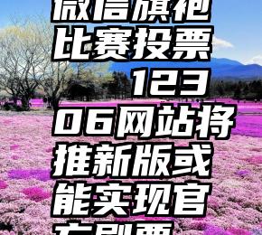 微信旗袍比赛投票   12306网站将推新版或能实现官方刷票