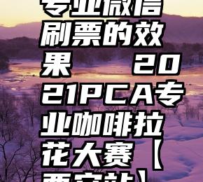 专业微信刷票的效果   2021PCA专业咖啡拉花大赛【西安站】