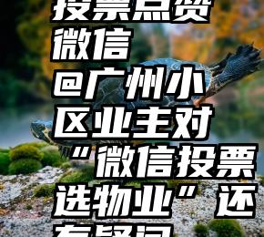 投票点赞微信   @广州小区业主对“微信投票选物业”还有疑问