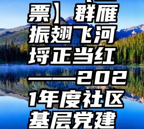 王者阵营投票微信   【投票】群雁振翅飞河埒正当红——2021年度社区基层党建“书记项目”成果展播