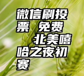 微信刷投票 免费   北美嘻哈之夜初赛