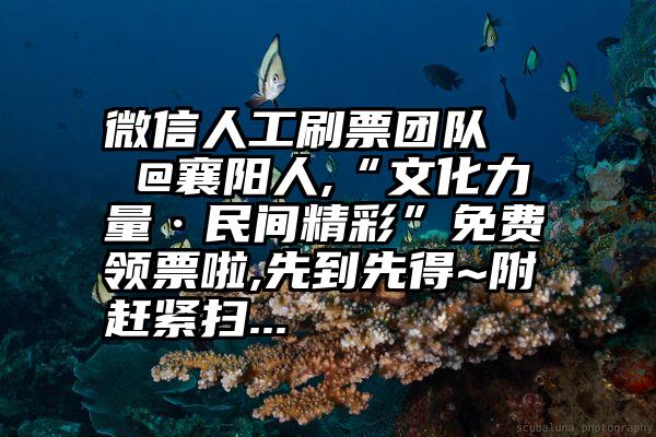 微信人工刷票团队   @襄阳人,“文化力量·民间精彩”免费领票啦,先到先得~附赶紧扫...