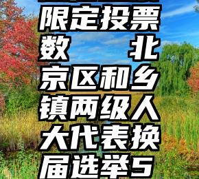 微信投票限定投票数   北京区和乡镇两级人大代表换届选举5日投票