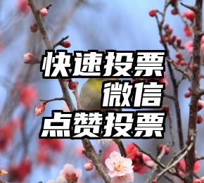 快速投票   微信点赞投票