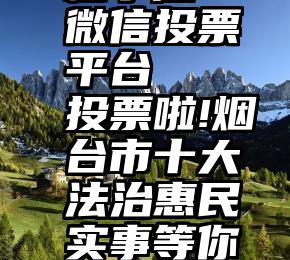 柚子酒 微信投票平台   投票啦!烟台市十大法治惠民实事等你来选