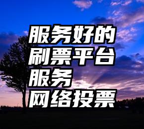 服务好的刷票平台服务   网络投票