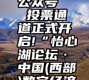 投票支持什么微信公众号   投票通道正式开启!“怡心湖论坛·中国(西部)数字经济大会”大型...