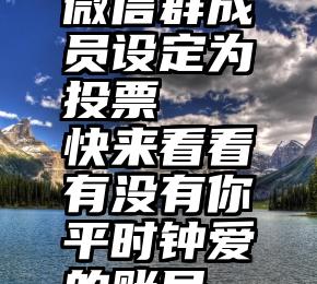 微信群成员设定为投票   快来看看有没有你平时钟爱的账号