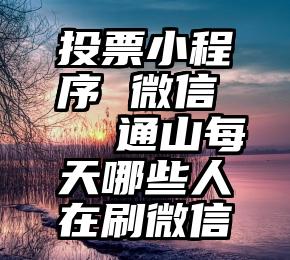 投票小程序 微信   通山每天哪些人在刷微信