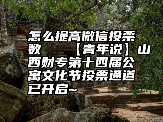 怎么提高微信投票数   【青年说】山西财专第十四届公寓文化节投票通道已开启~