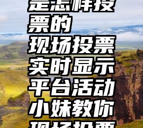 微信投票是怎样投票的   现场投票实时显示平台活动小妹教你现场投票怎么做