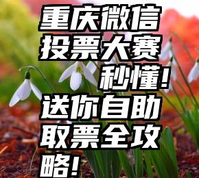 重庆微信投票大赛   秒懂!送你自助取票全攻略!