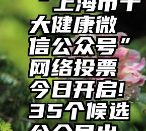 微信公众号投票改名字   【投票】“上海市十大健康微信公众号”网络投票今日开启!35个候选公众号出炉,快来为你心中的最佳打call!