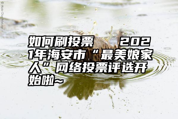 如何刷投票   2021年海安市“最美娘家人”网络投票评选开始啦~