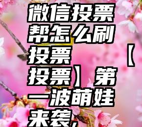 微信投票帮怎么刷投票   【投票】第一波萌娃来袭,