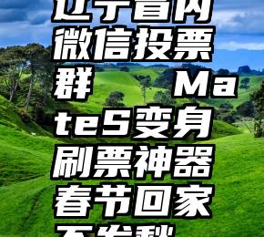 辽宁省内微信投票群   MateS变身刷票神器春节回家不发愁