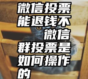 微信投票能退钱不   微信群投票是如何操作的